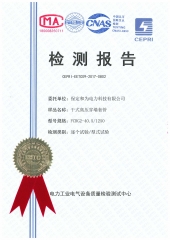 型式試驗(yàn)檢測(cè)報(bào)告